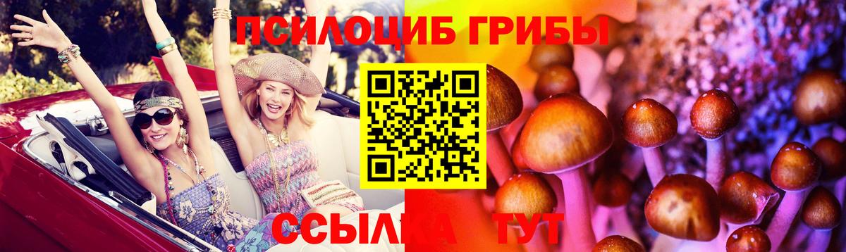 Псилоцибиновые грибы MAGIC MUSHROOMS  Псилоцибиновые грибы мицелий  Когалым  Вход с VPN 